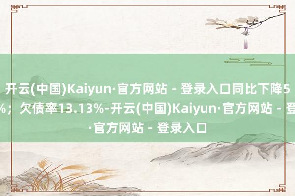 开云(中国)Kaiyun·官方网站 - 登录入口同比下降574.09%；欠债率13.13%-开云(中国)Kaiyun·官方网站 - 登录入口